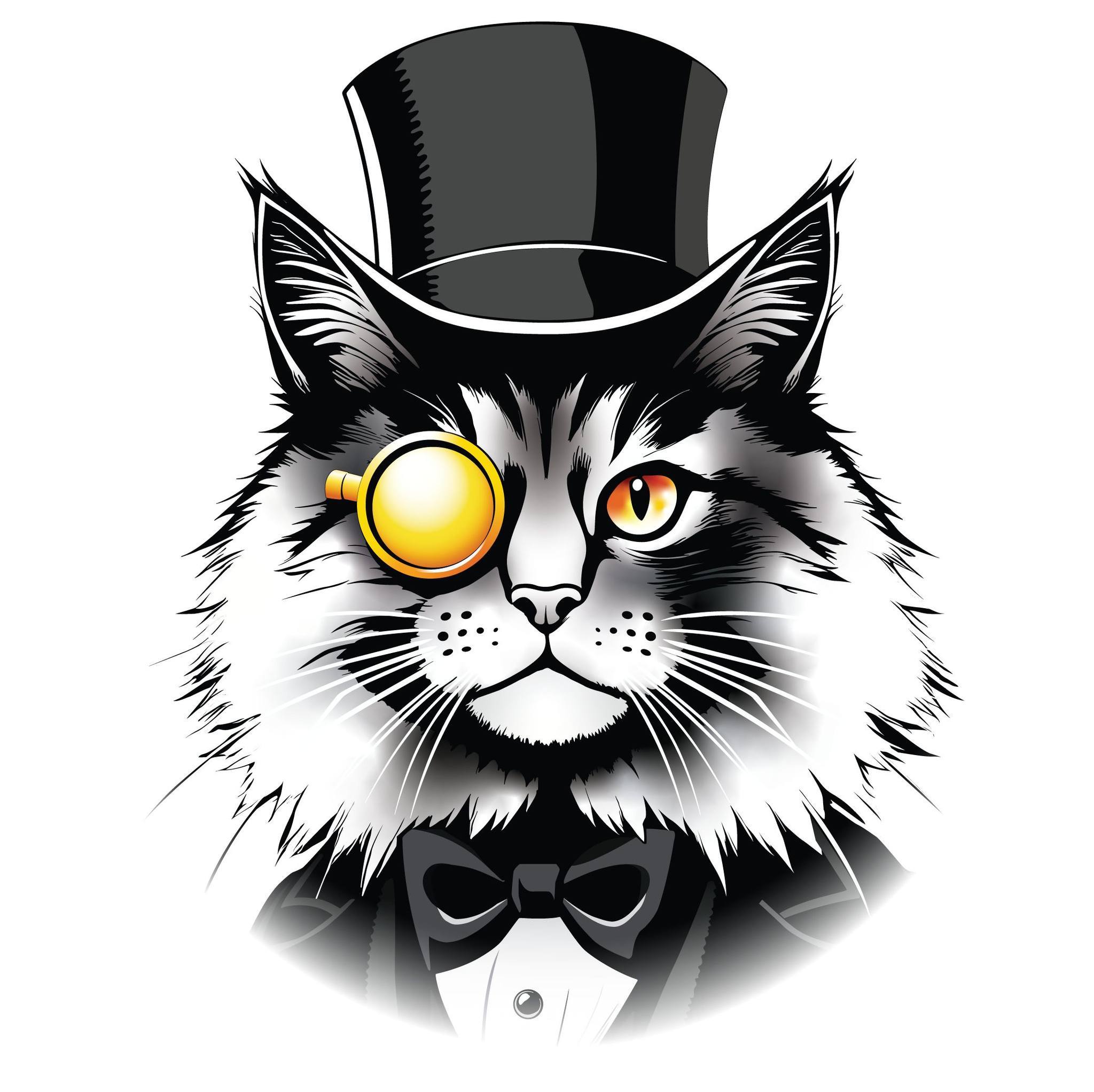 now-open-a-cozy-new-maine-coon-manor-cat-cafe-facebook
