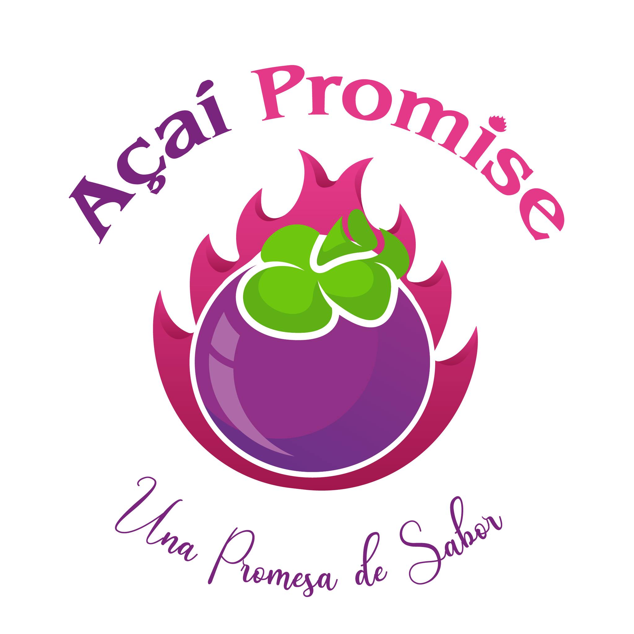 Acai Promise Heladería | Santiago