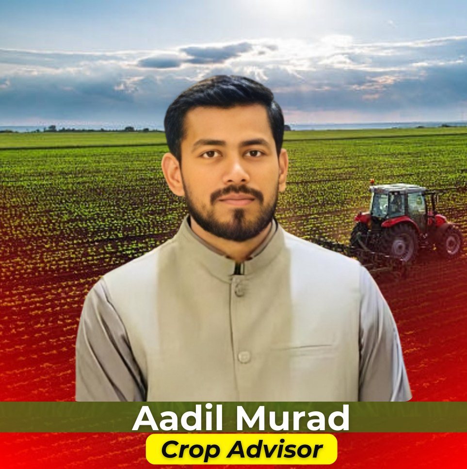 Crop Advisor Aadil Murad