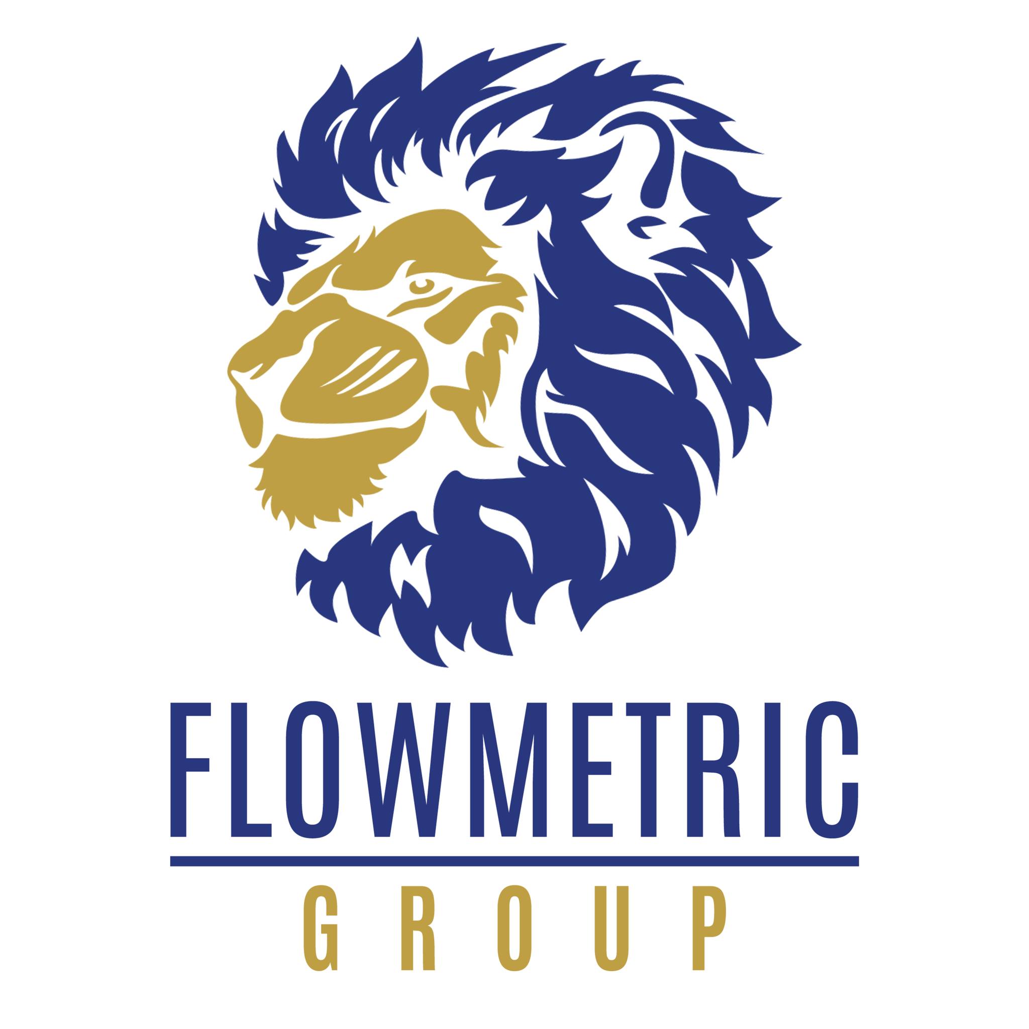 Flowmetric Accounting Group