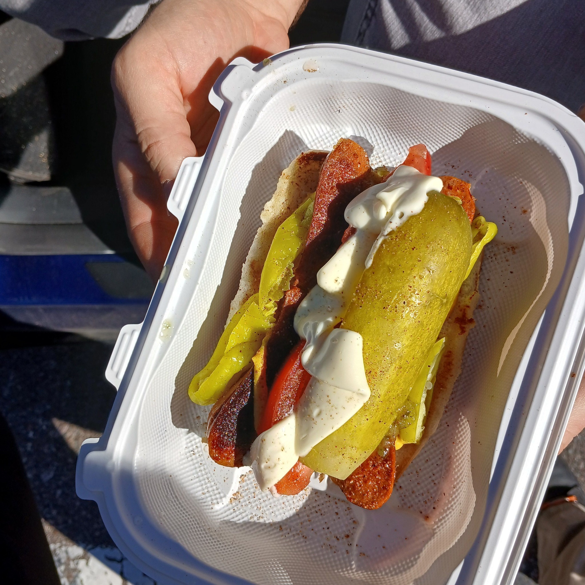 Dog House Hot Dogs with Relish and more