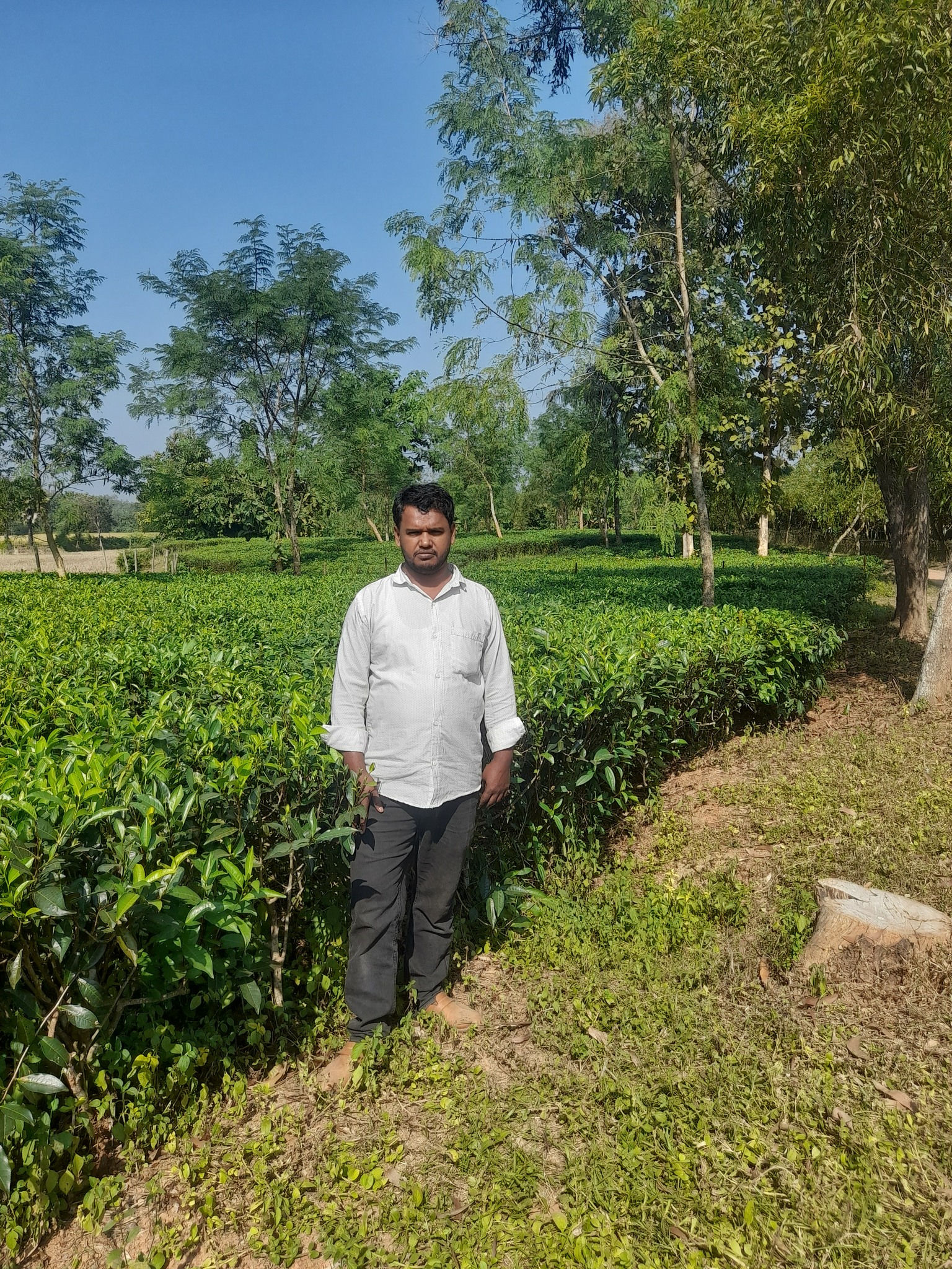 আলমগীর ভাই