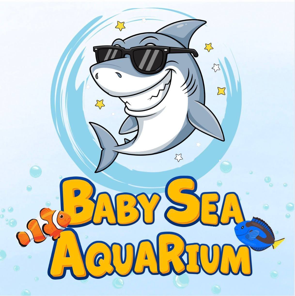 Baby Sea Aquarium | Hóc Môn