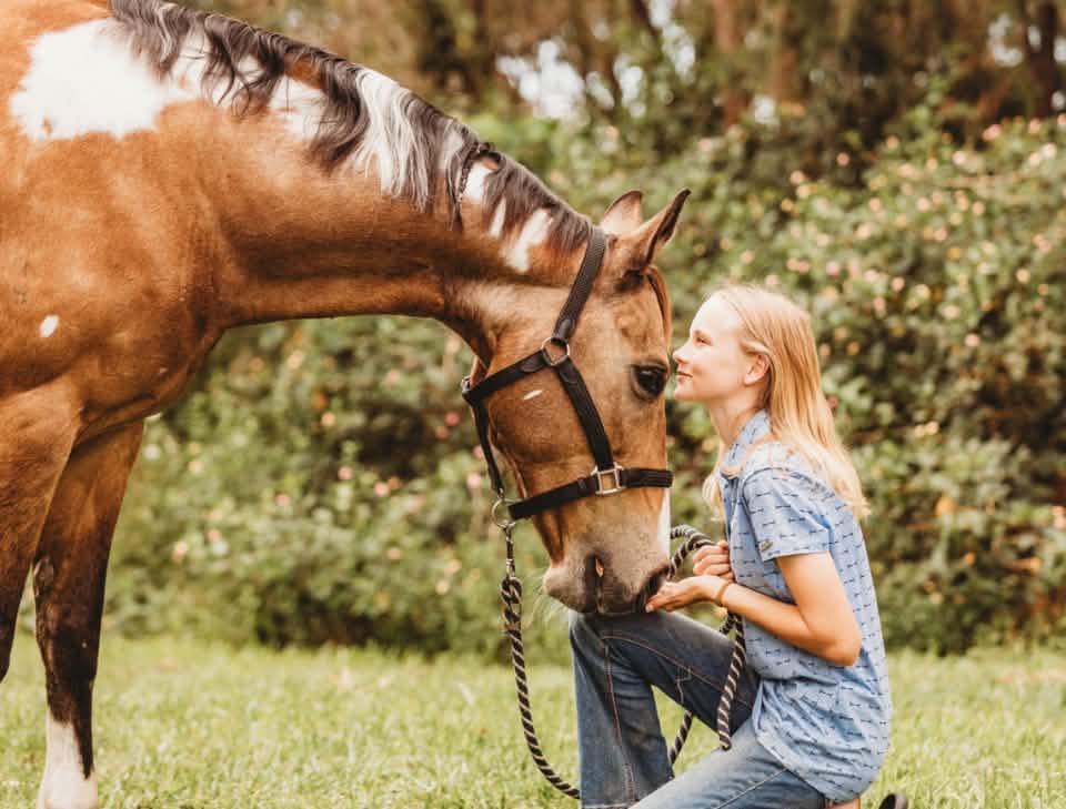 Official Gympie Horse and Rodeo Association | @everyone | Facebook