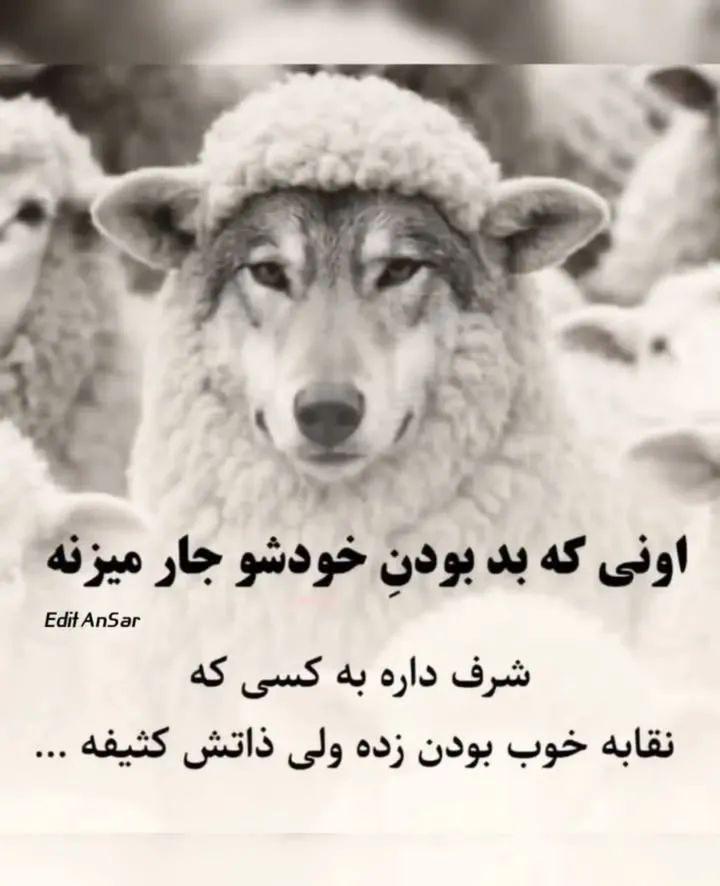 حقیقت های تلخ