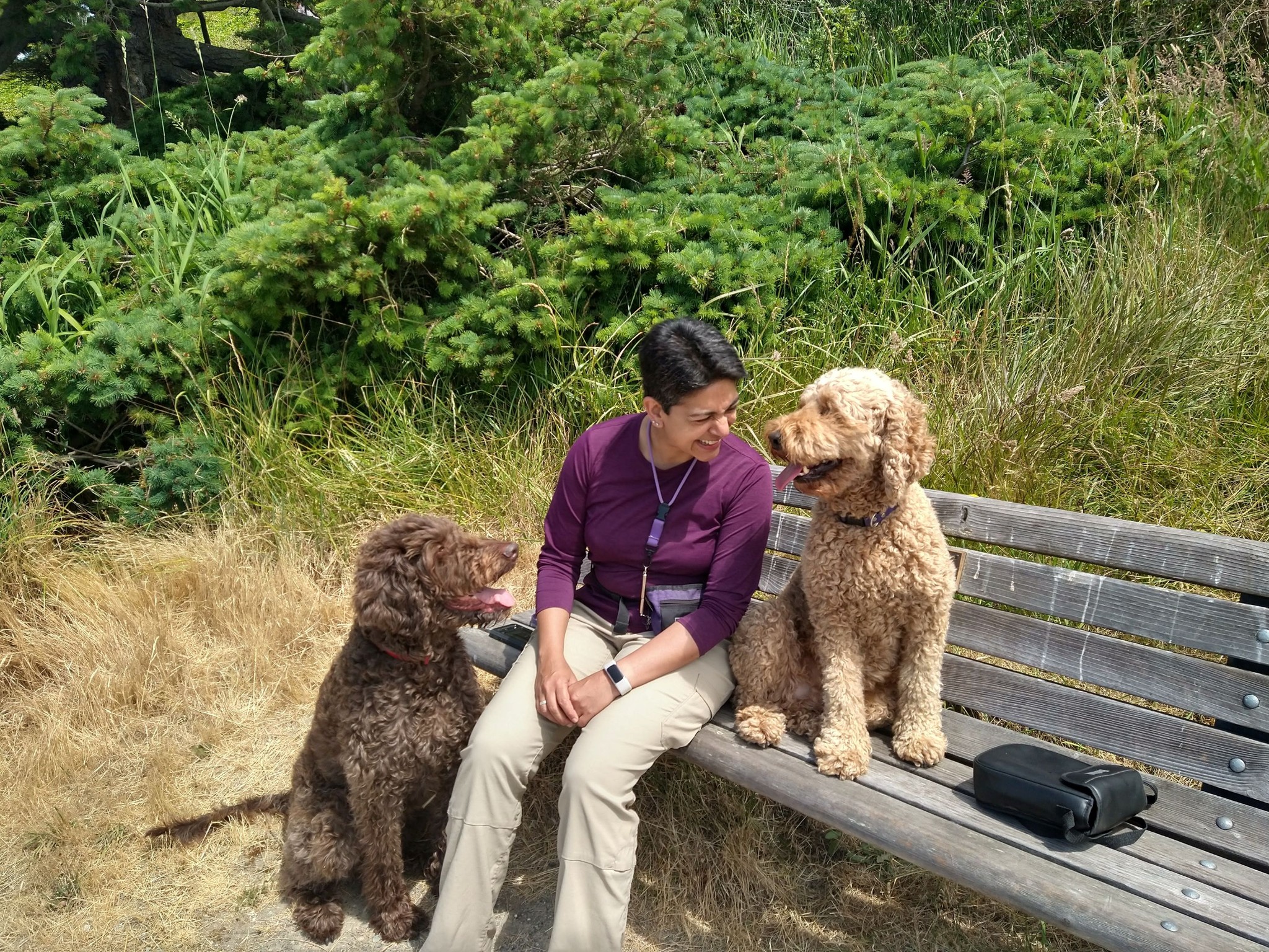 Sound Service Dogs