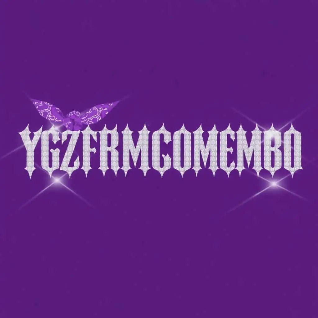 YGZ FRM comembo