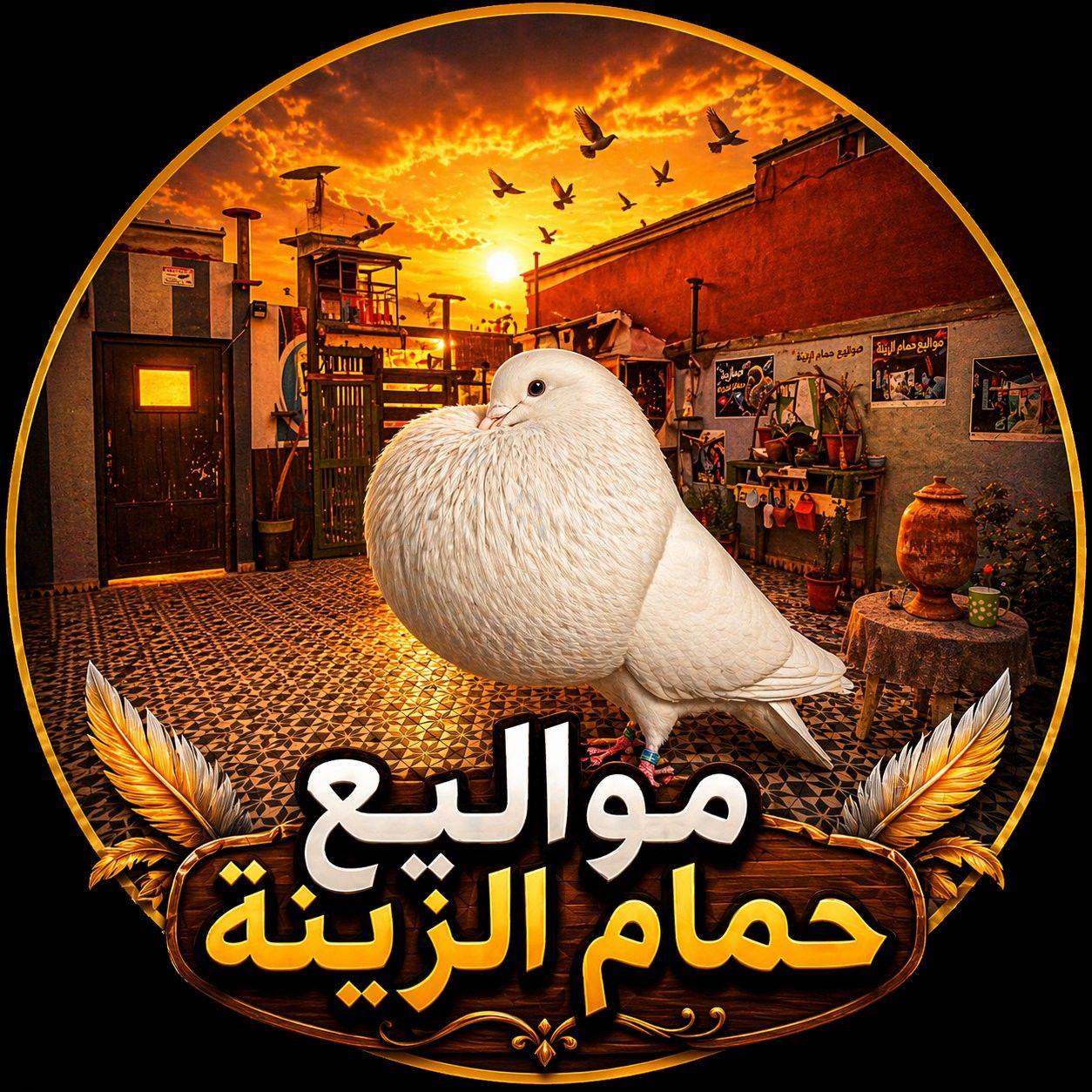 مشاءالله تبارك الله #ادريان #2025 #ادريان #حصل #المرتبة #الألى #في # ...