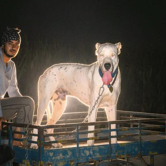 Mantri chobbar