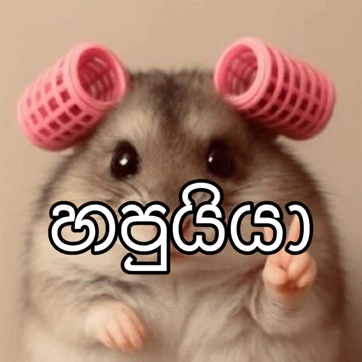 Vidara Weerasinghe