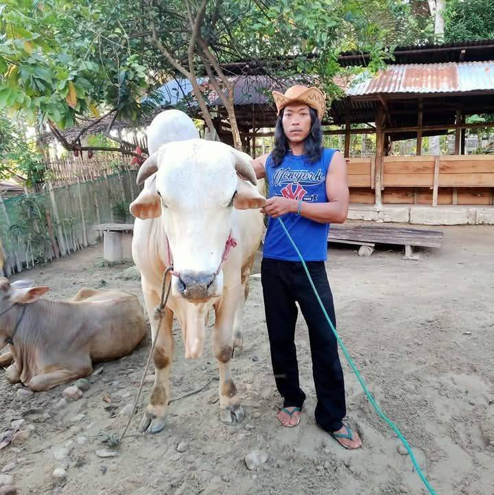 Supri Adi on Reels
