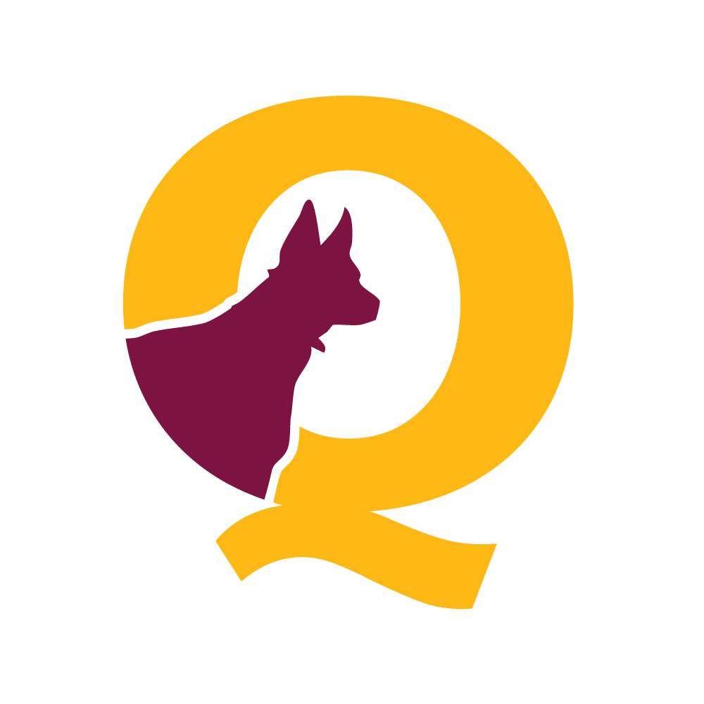 Queensland Stock Dog Trialling Association | Brisbane QLD