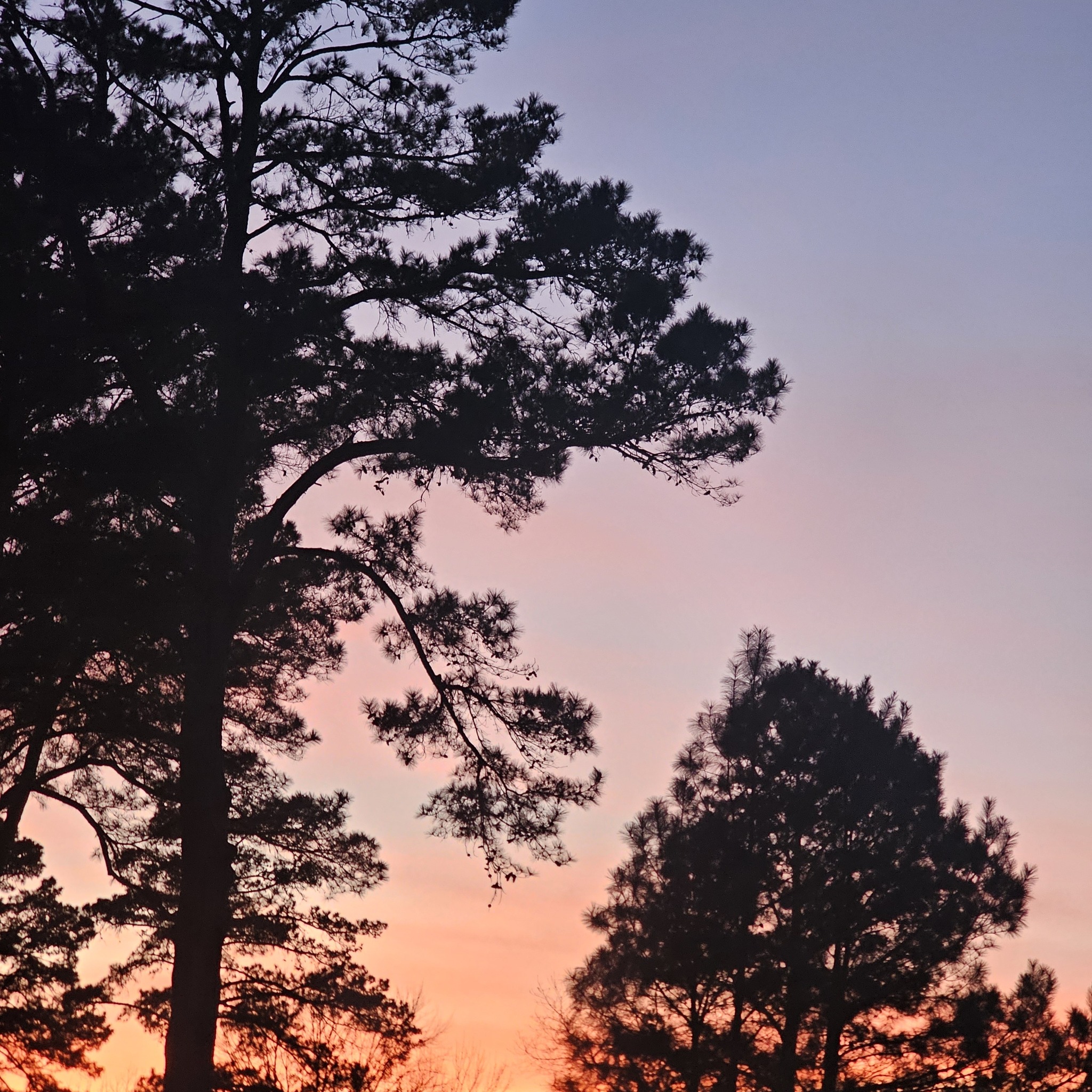 UPSHUR COUNTY TEXAS TALK | Does anyone know when the Upshur County-wide ...