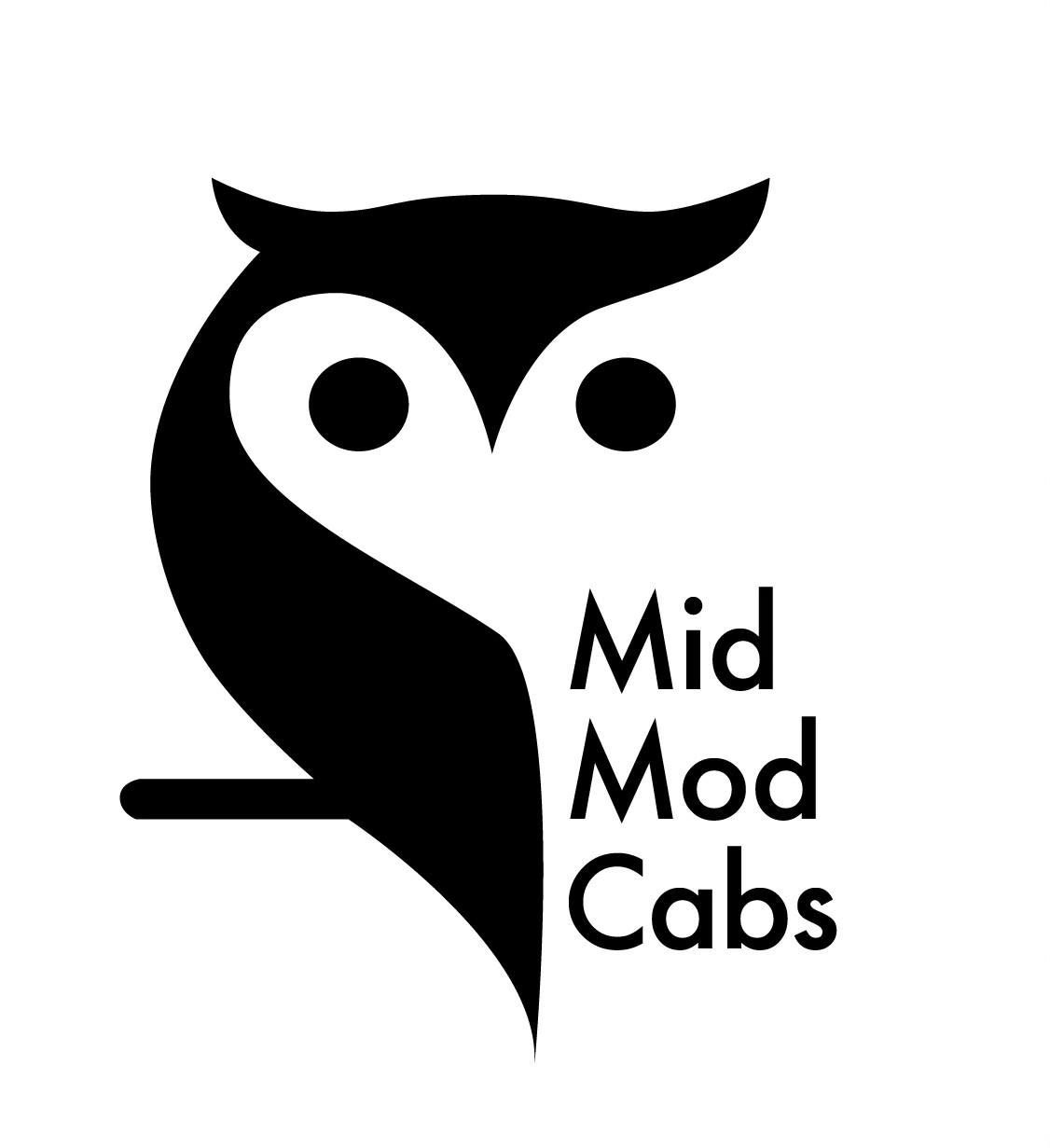 Mid Mod Cabinets | Virginia Beach VA