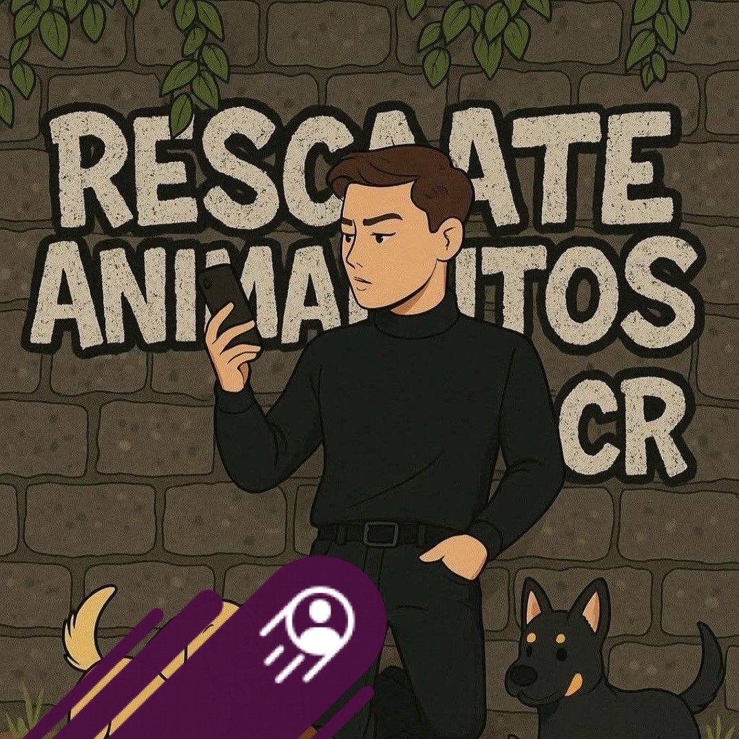 ANIMALITOS ADOPCION CR ll | Facebook