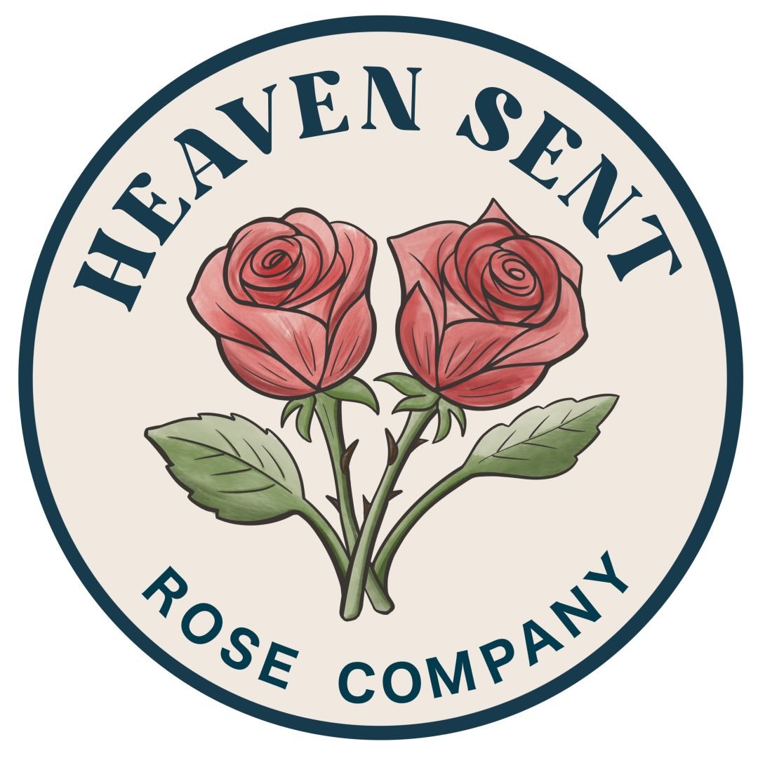 Rose 🌹 Identification Group | Could someone help me identify this rose ...