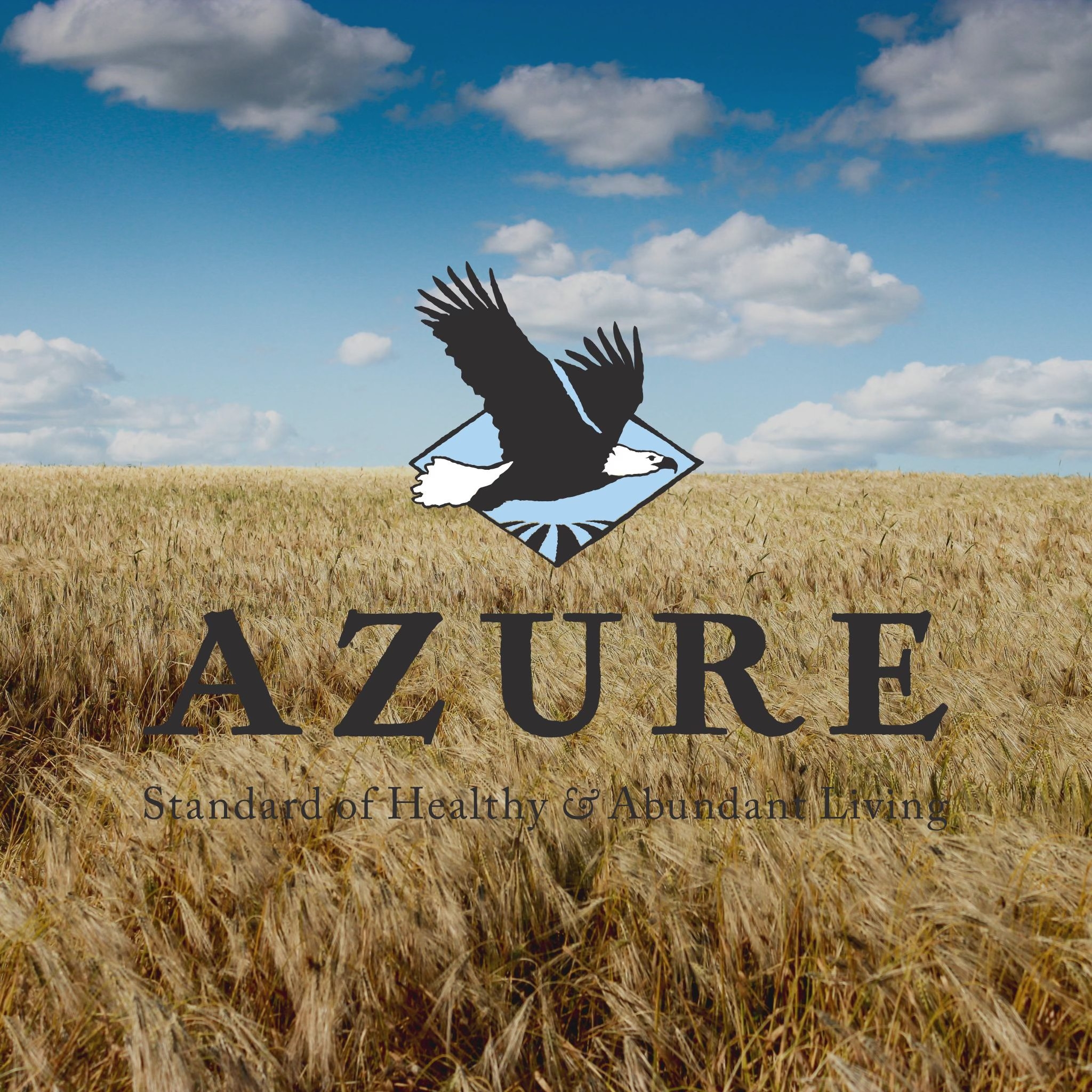 Azure Drop - Fairfax, VA