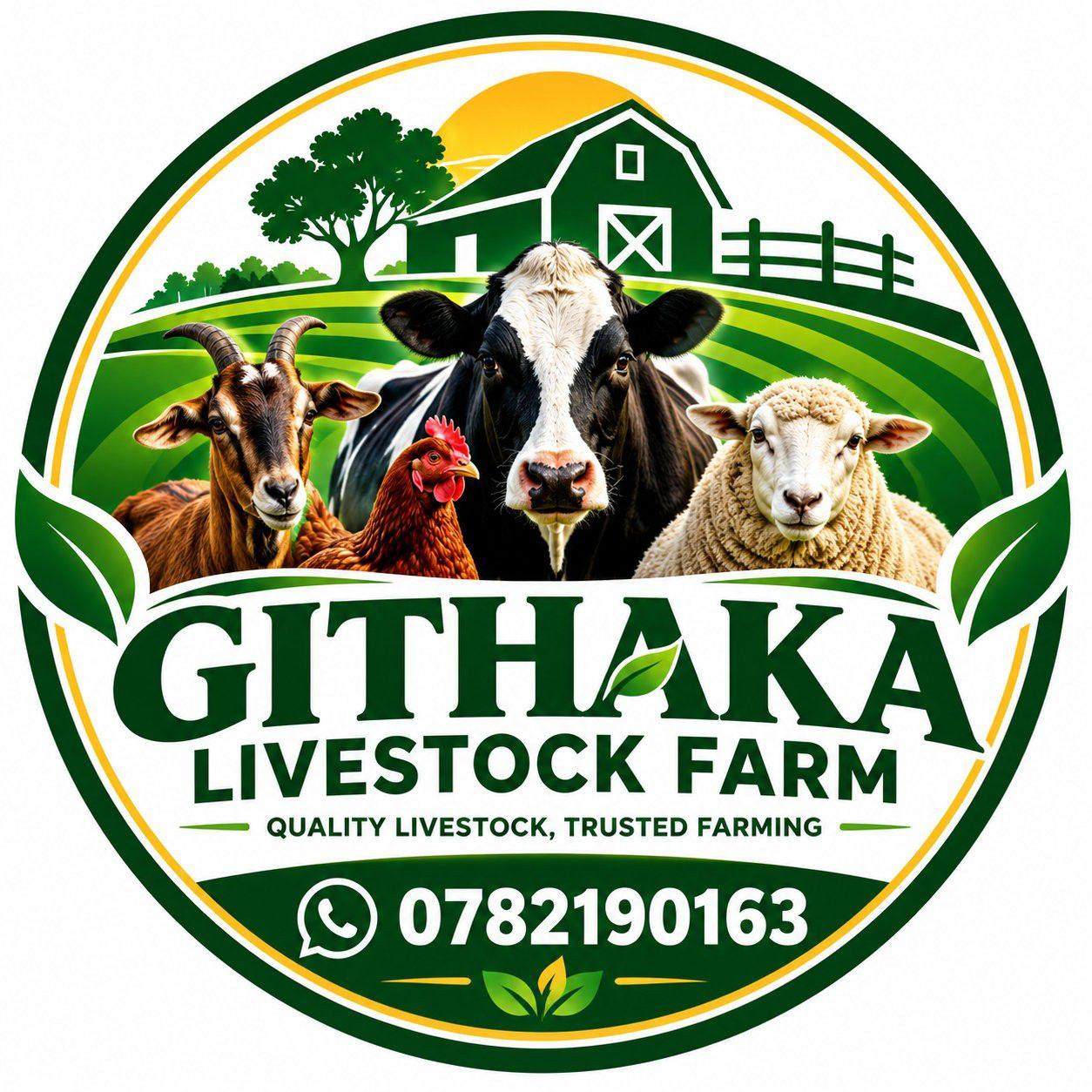 Githaka Ranch | Nyeri