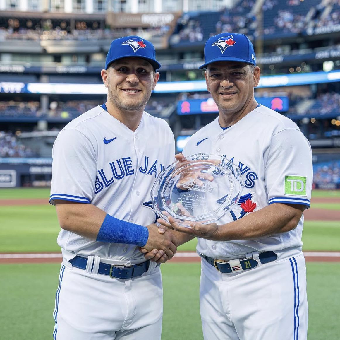 Dault Varsho Bluejays