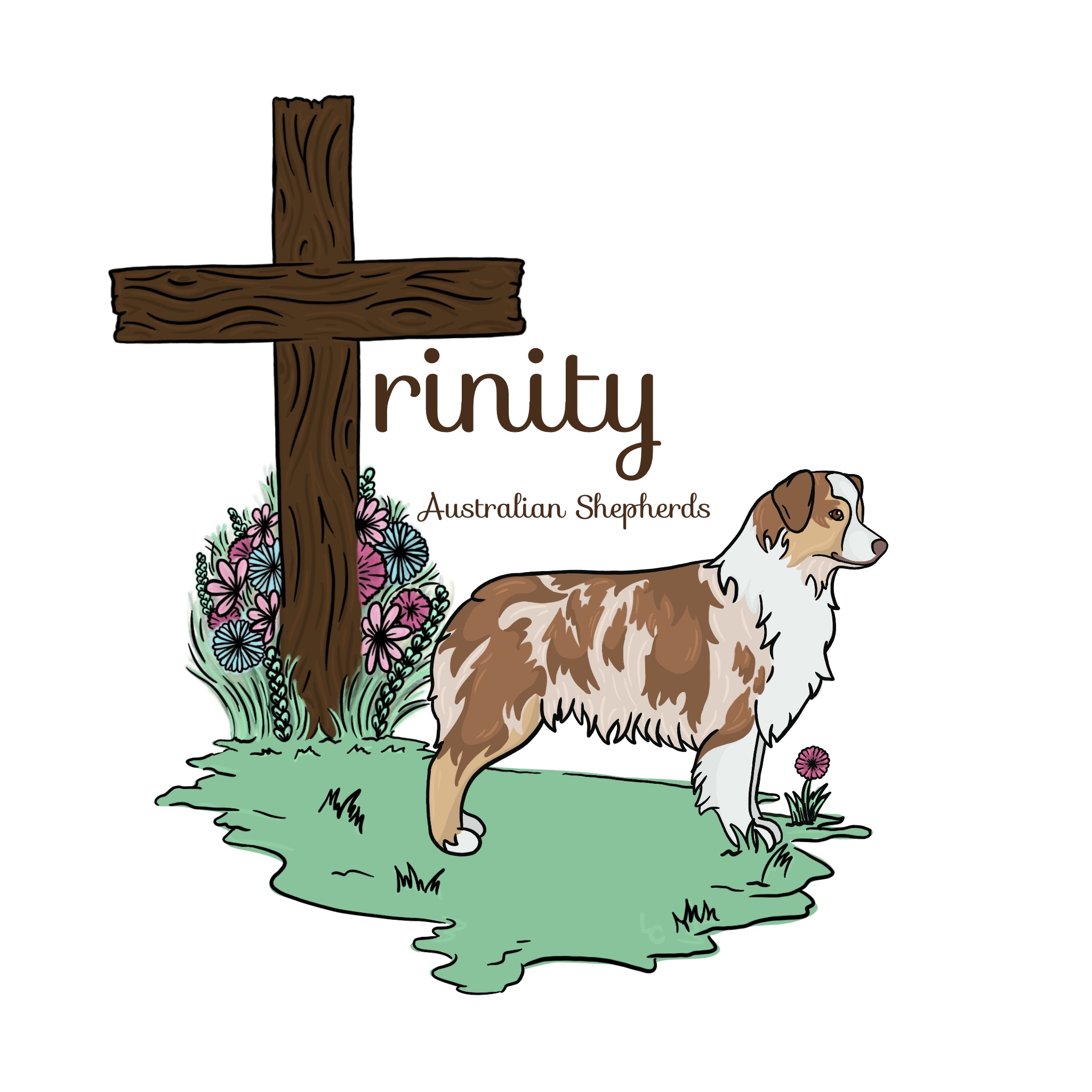 Trinity Australian Shepherds | El Dorado Hills CA