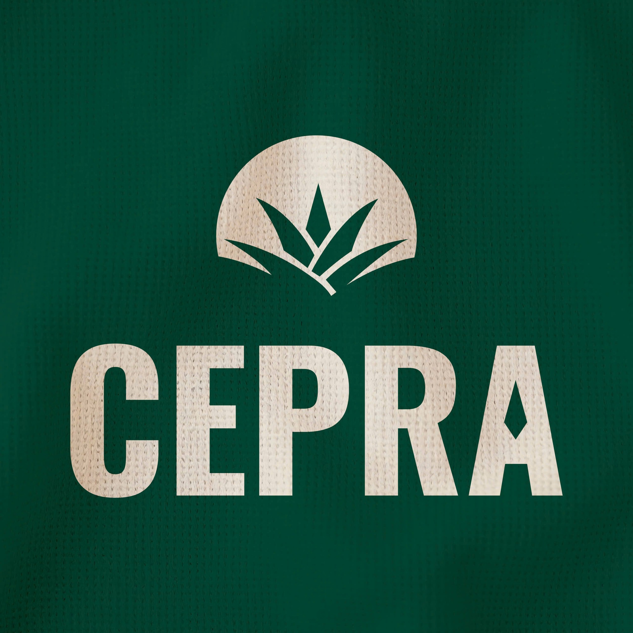 CEPRA | Hanoi