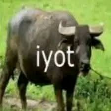 Iyot News Channel