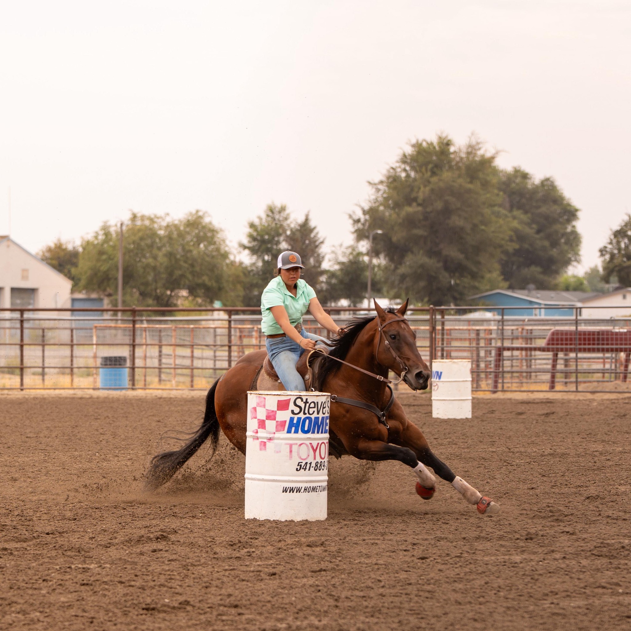 Adrenaline Performance Horses