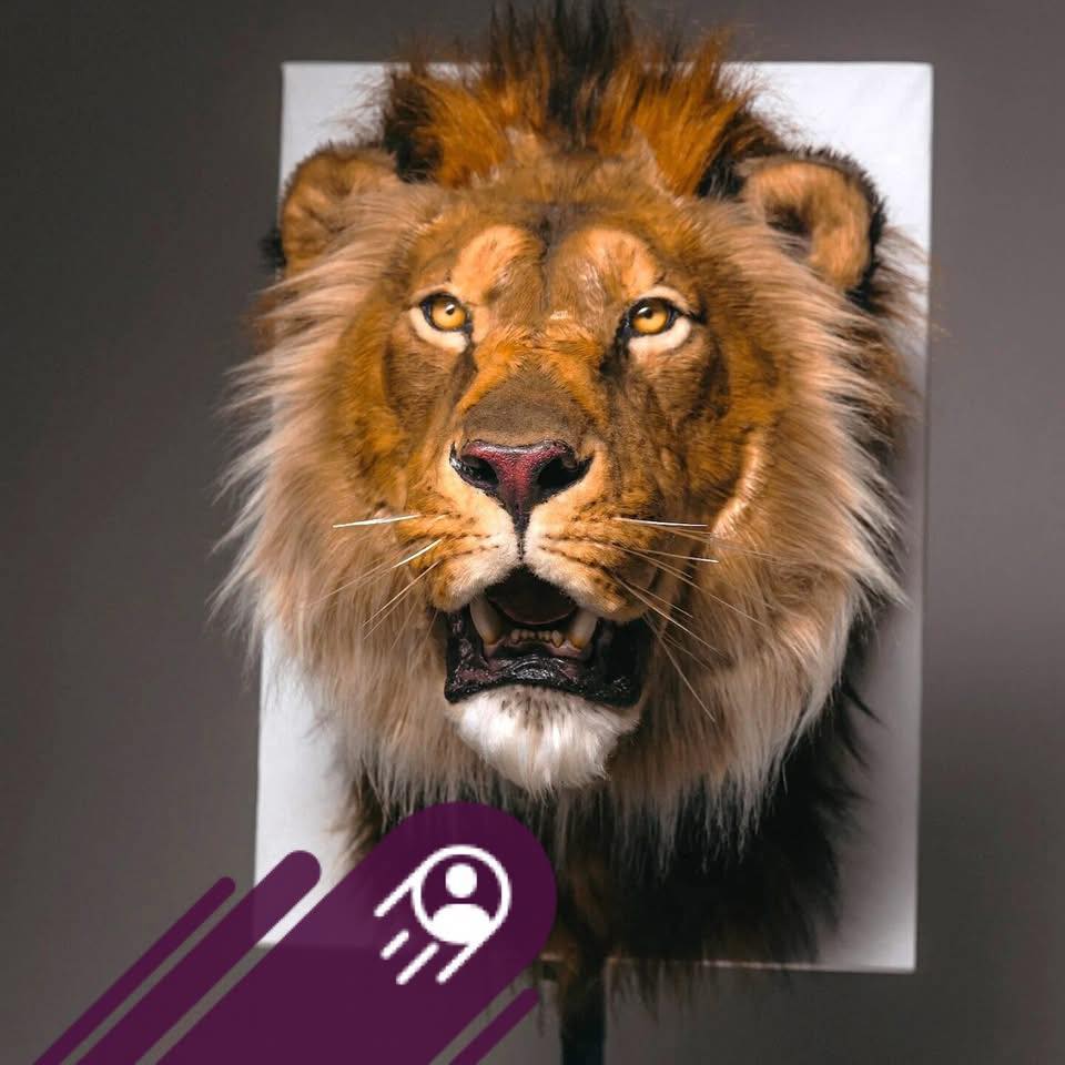 Replica Taxidermy