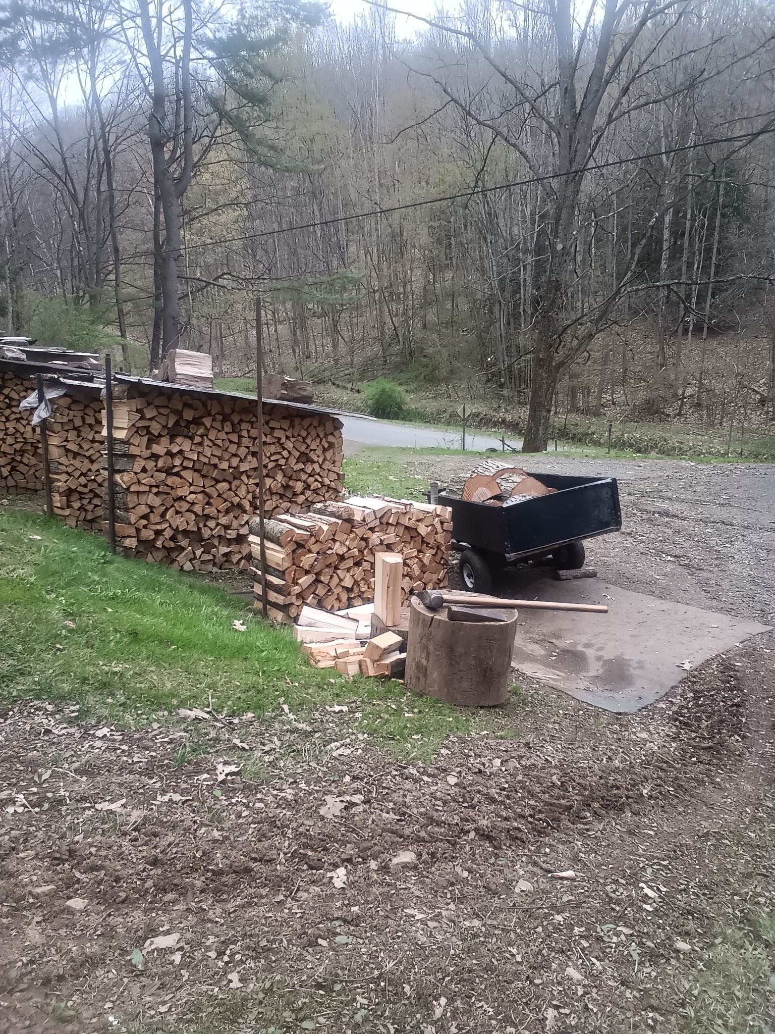 Old Wood stoves, Coal Stoves, Antique Stoves,& Masonry Heaters. | Lid ...