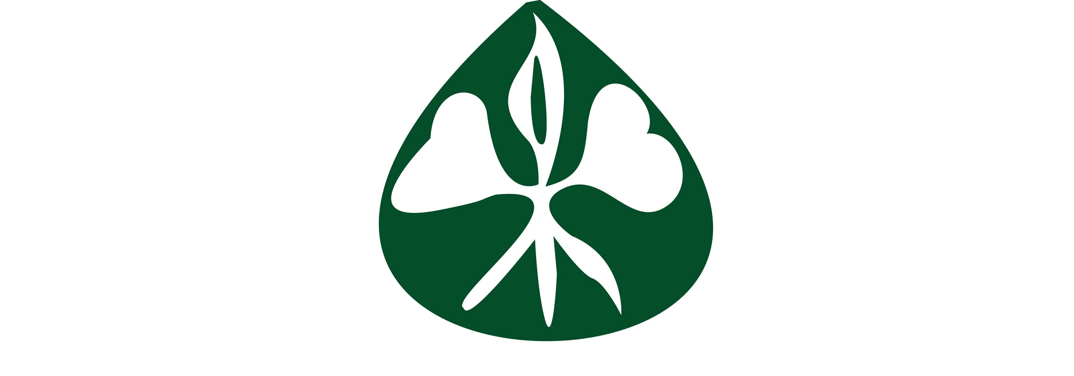 Le Biau Germe - 🌱 C'est la saison des tests de germination... | Facebook