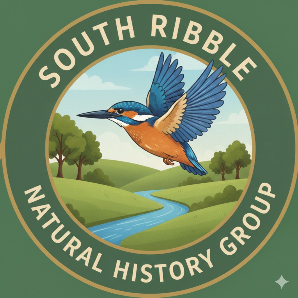 South Ribble Natural History Group | Bamber Bridge