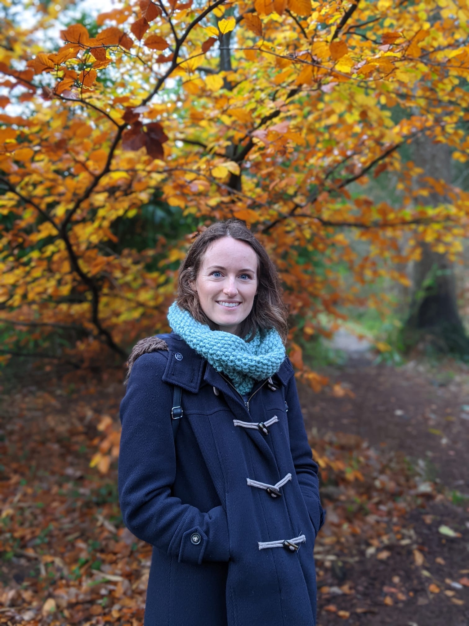 South Molton Community Noticeboard | Facebook