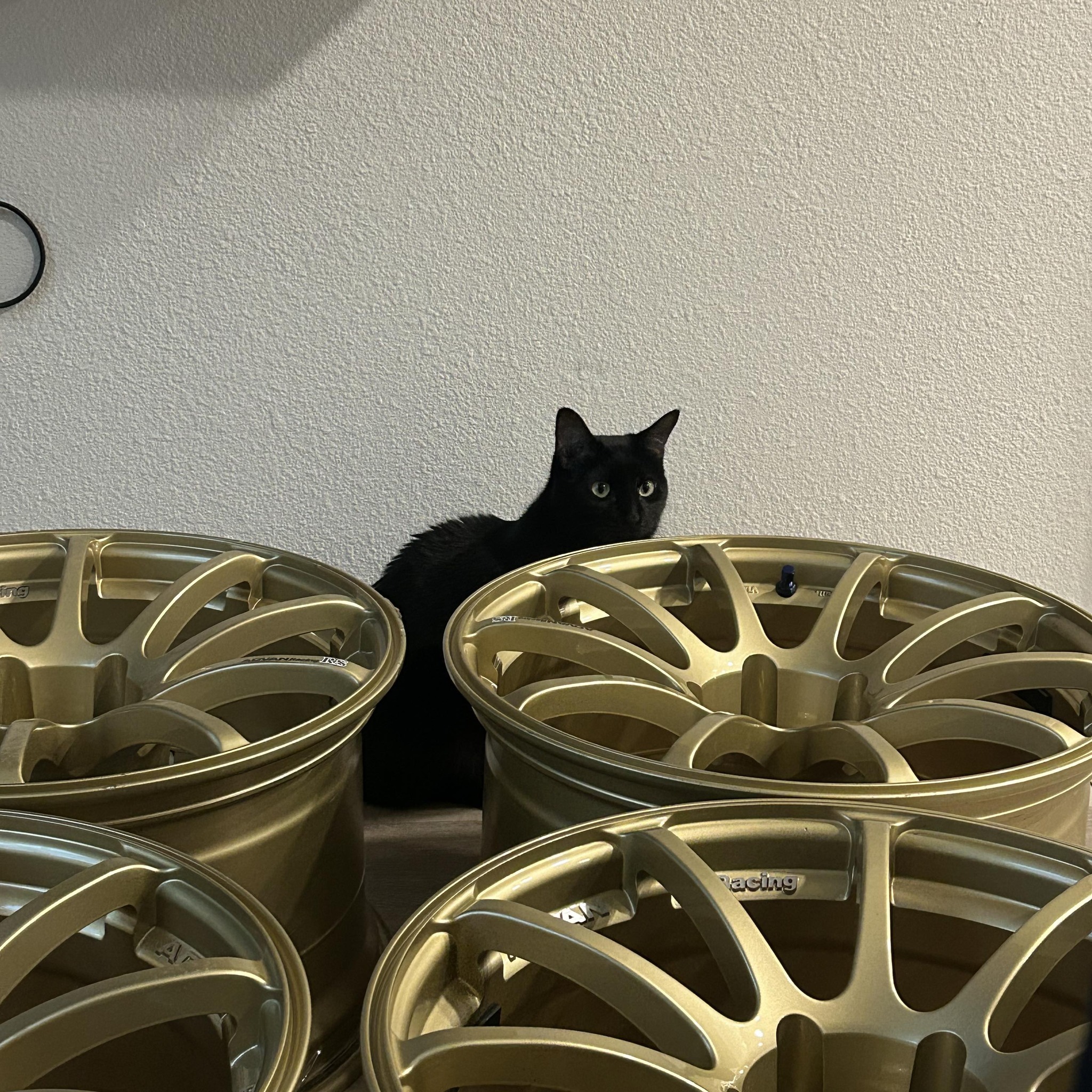 Detailing Enthusiasts Community | 3 days and the client still hasn't ...