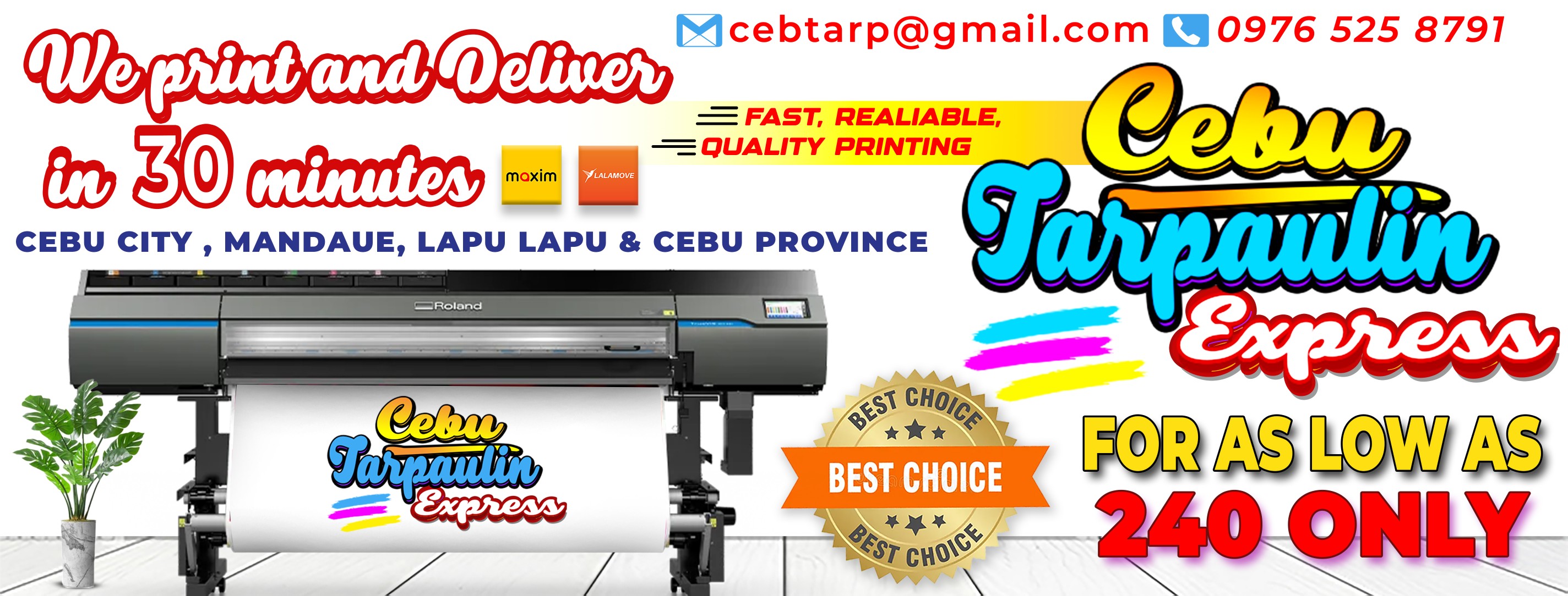 Cebu Express-Mango