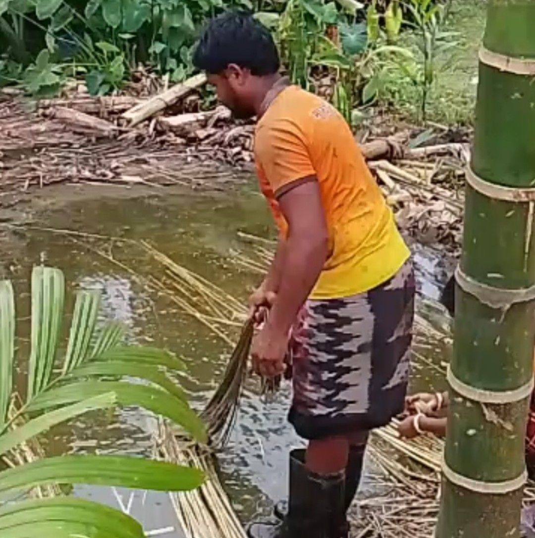 মানিক ভাই on Reels
