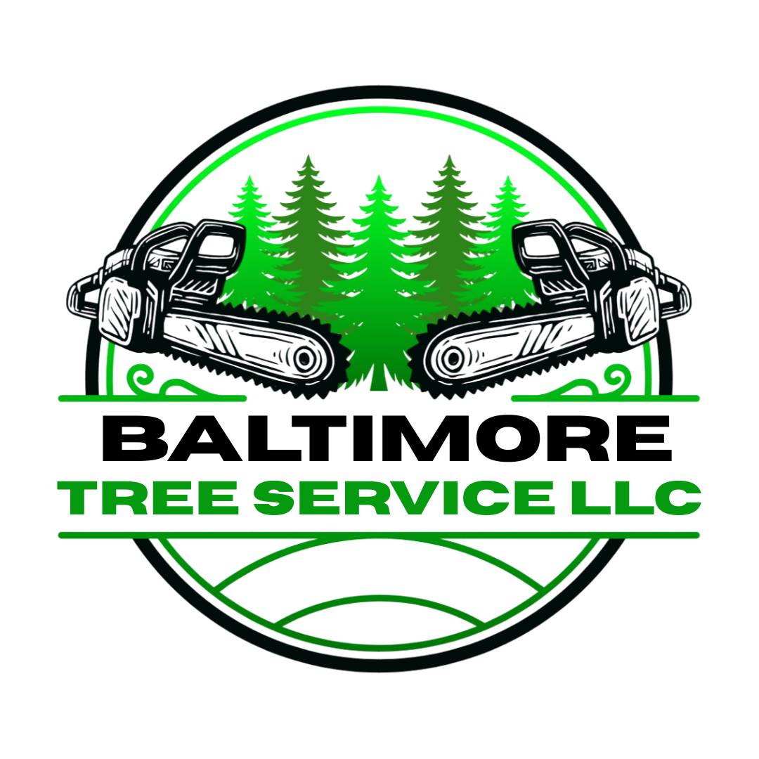 Baltimore Tree Service LLC | Baltimore MD