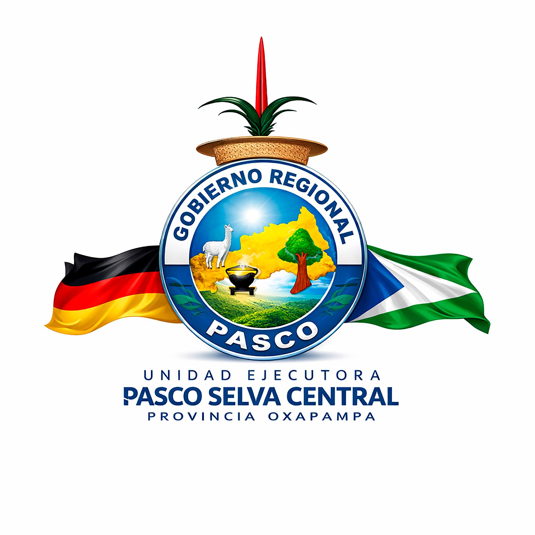 Gerencia Sub Regional - Unidad Ejecutora Pasco Selva Central Oxapampa ...