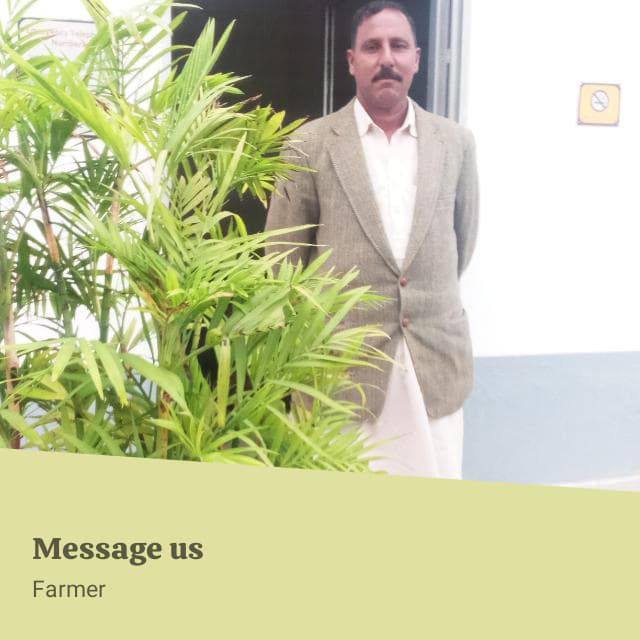 ڈاکٹر عالیہ on Reels