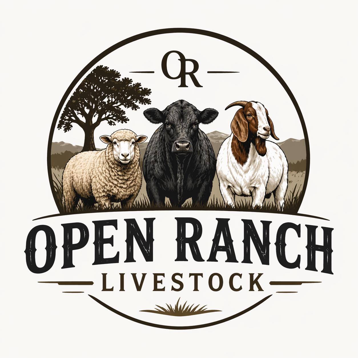 Open Ranch Livestock on Reels