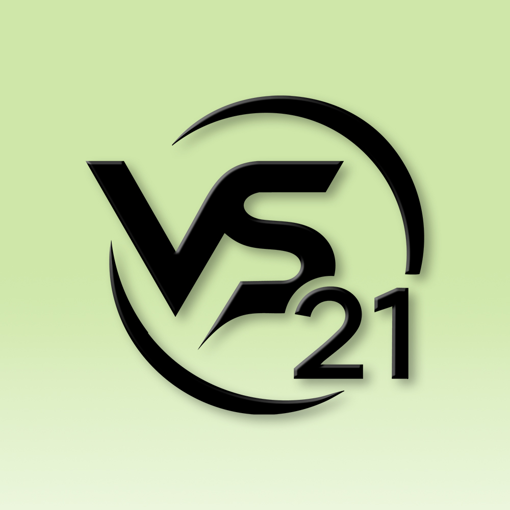 VS21 - Sdružení nezávislých kandidátů