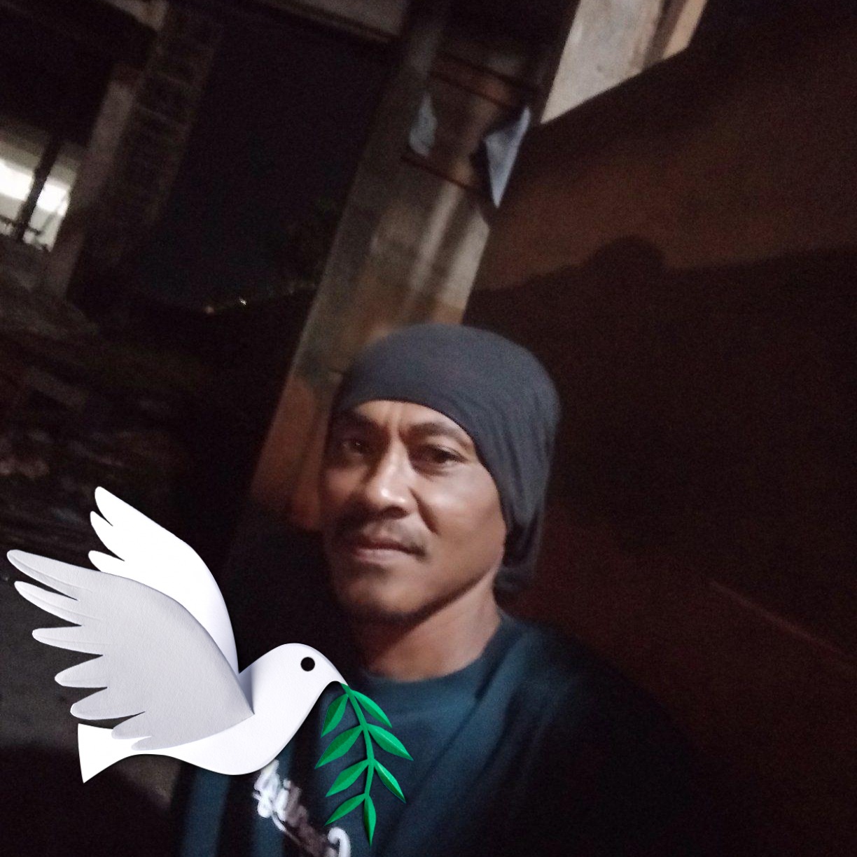 larva lele usia 5 hari dilatih makan pelet | Radit Radit