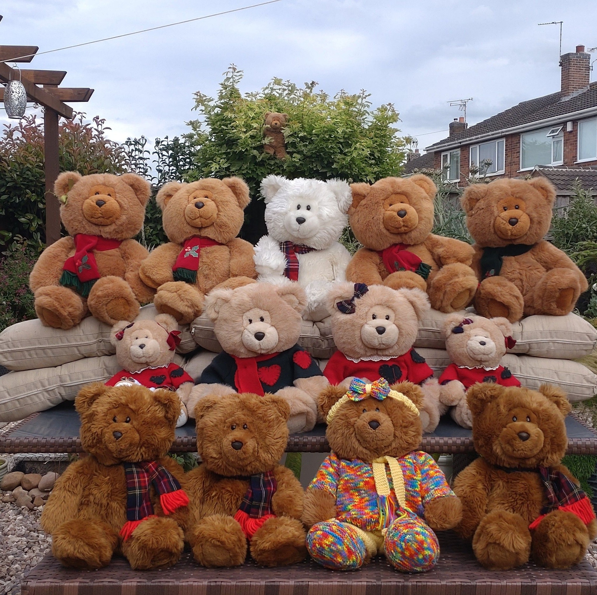 We are very sorry that she feels lonely, but - | Brown & Squeezer