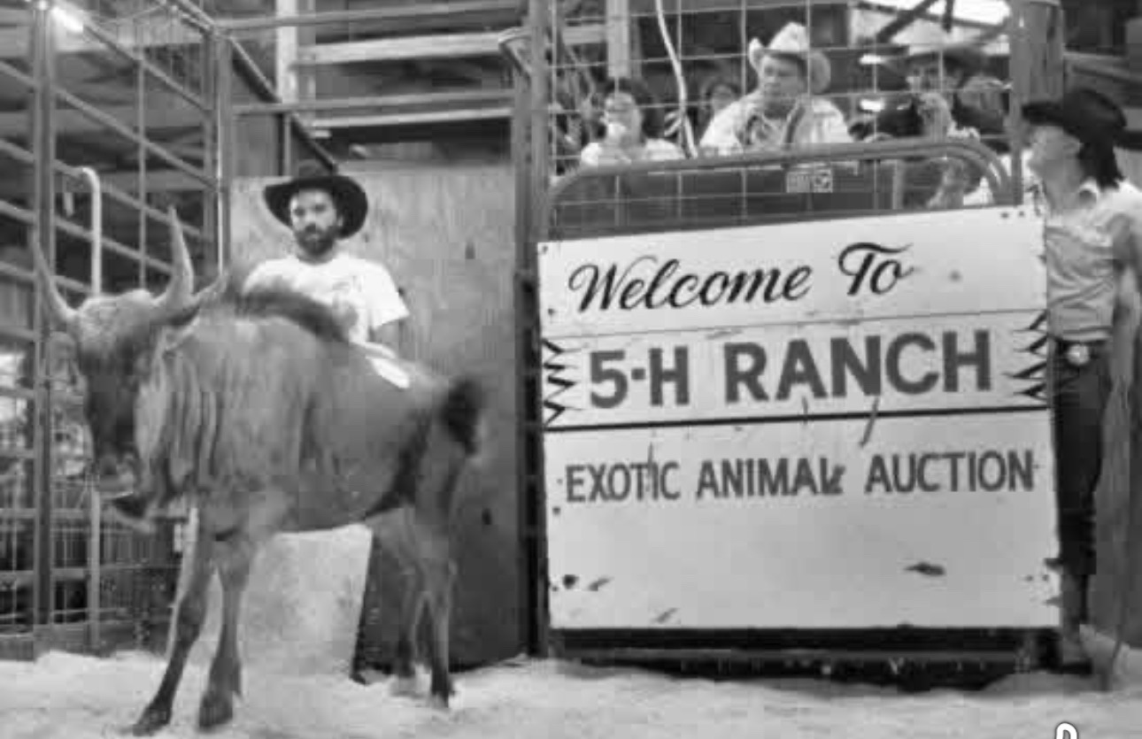 5-H Ranch Auction | Jackson MO