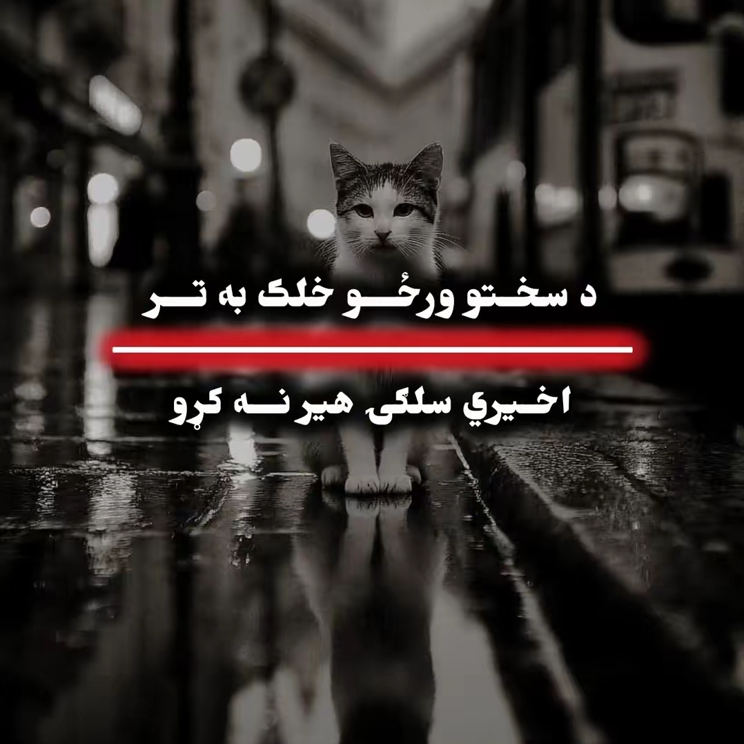 pashto-new-songs-2026-sa-wakam-khpal-zra-bande-noor-ali-haider