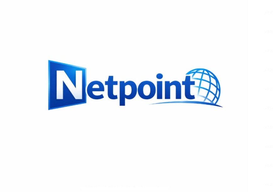 Netpoint Solution
