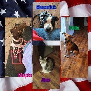 Maple, Maverick, Jinx, Felix & Family