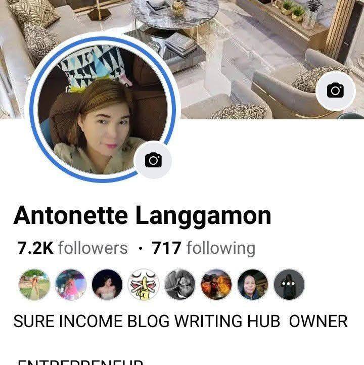 Sure Income Freelance Writing Hub 2