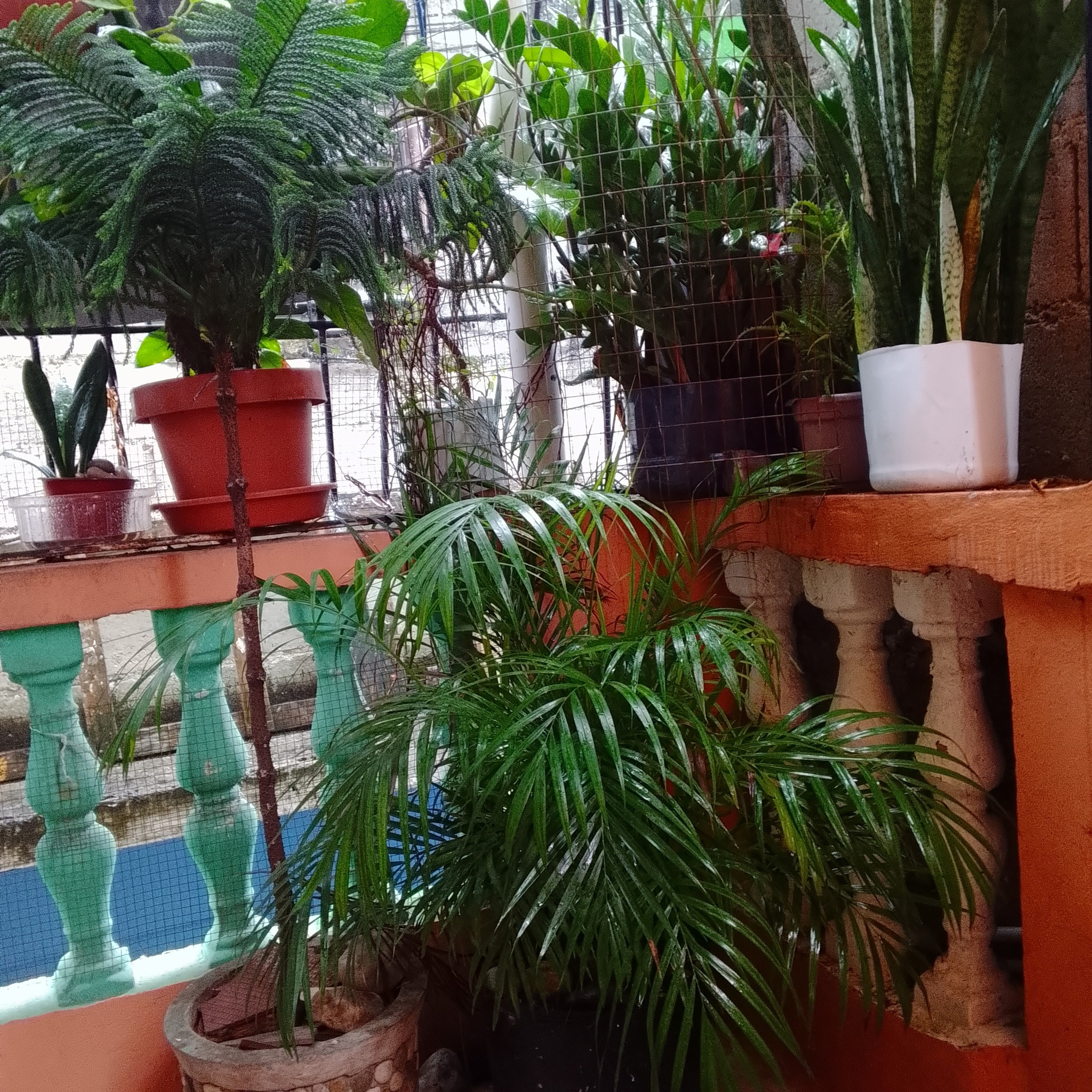 Díganme ustedes mis amigos si les gusta estos día así # ...