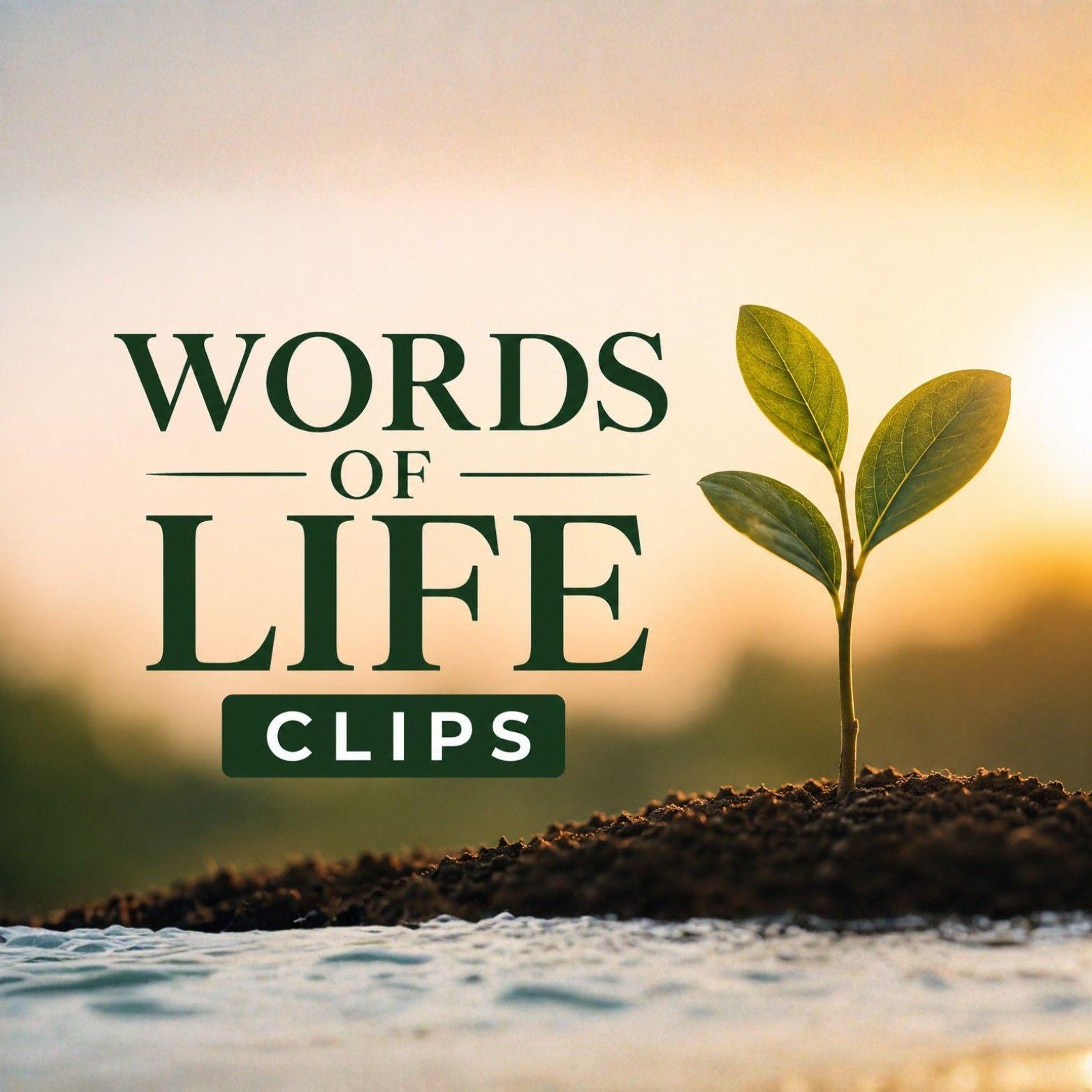 Words of life - Galatians 6:9 (NIV) “Let us not become... | Facebook