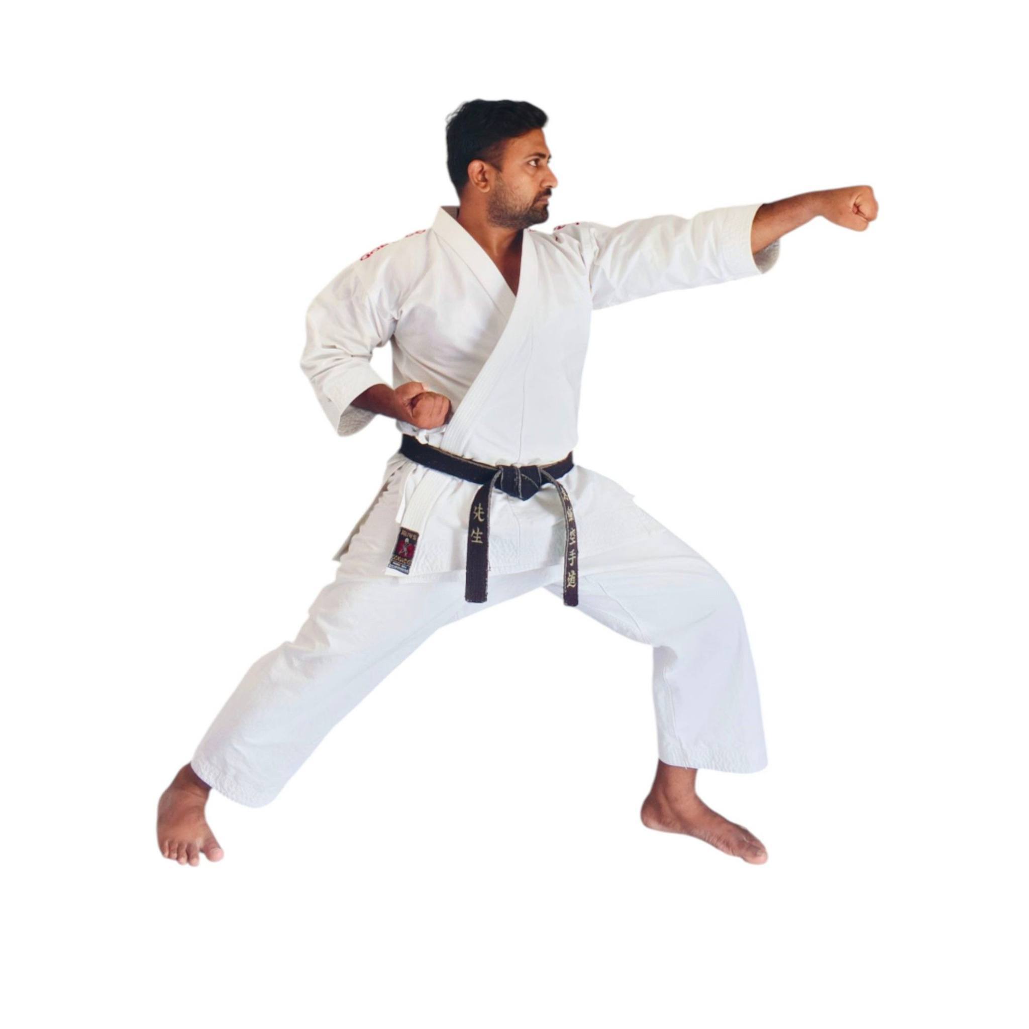 Karate Sir - This image compares key statistics and... | Facebook